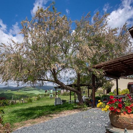 Agriturismo Il Canterino Guardistallo Zewnętrze zdjęcie