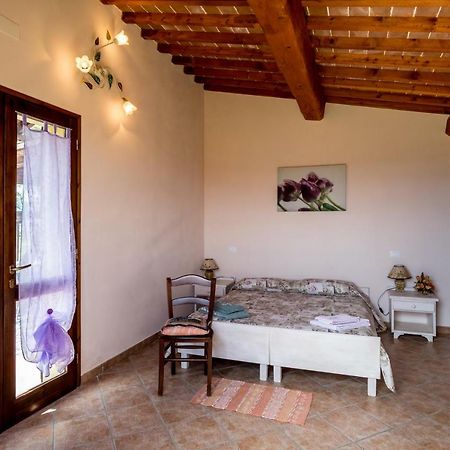 Agriturismo Il Canterino Guardistallo Zewnętrze zdjęcie