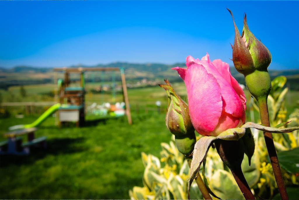 Agriturismo Il Canterino Guardistallo Zewnętrze zdjęcie