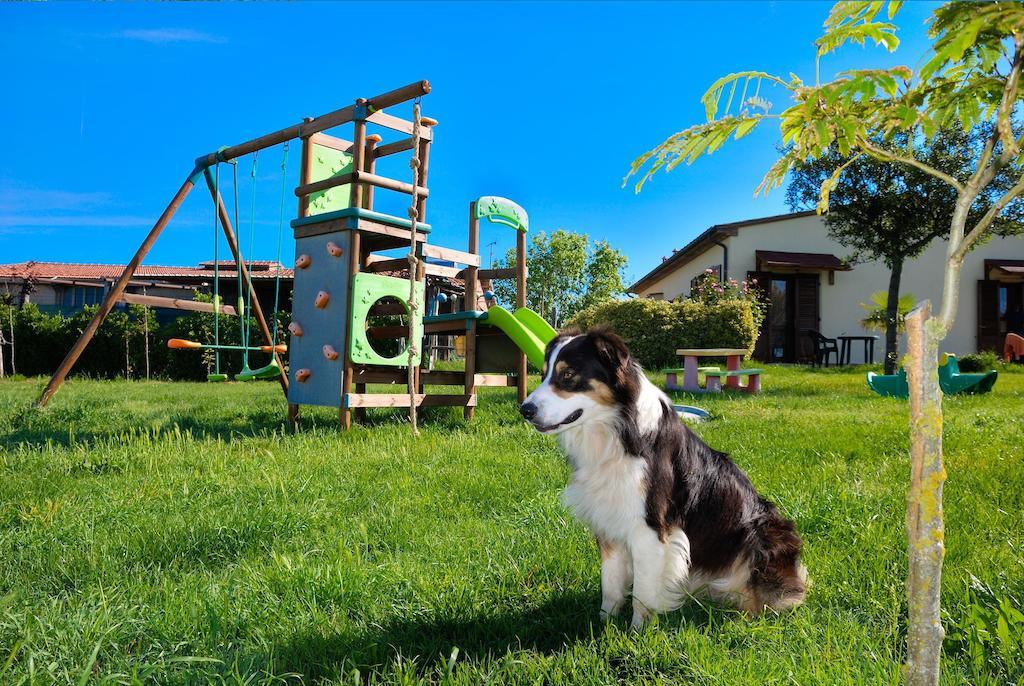 Agriturismo Il Canterino Guardistallo Zewnętrze zdjęcie
