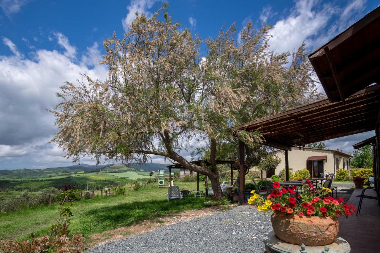 Agriturismo Il Canterino Guardistallo Zewnętrze zdjęcie