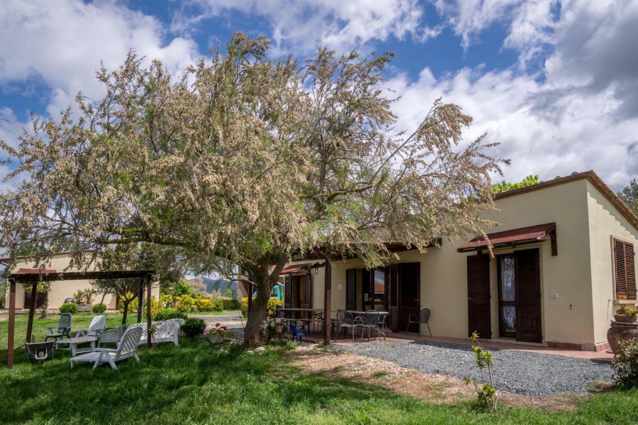 Agriturismo Il Canterino Guardistallo Zewnętrze zdjęcie