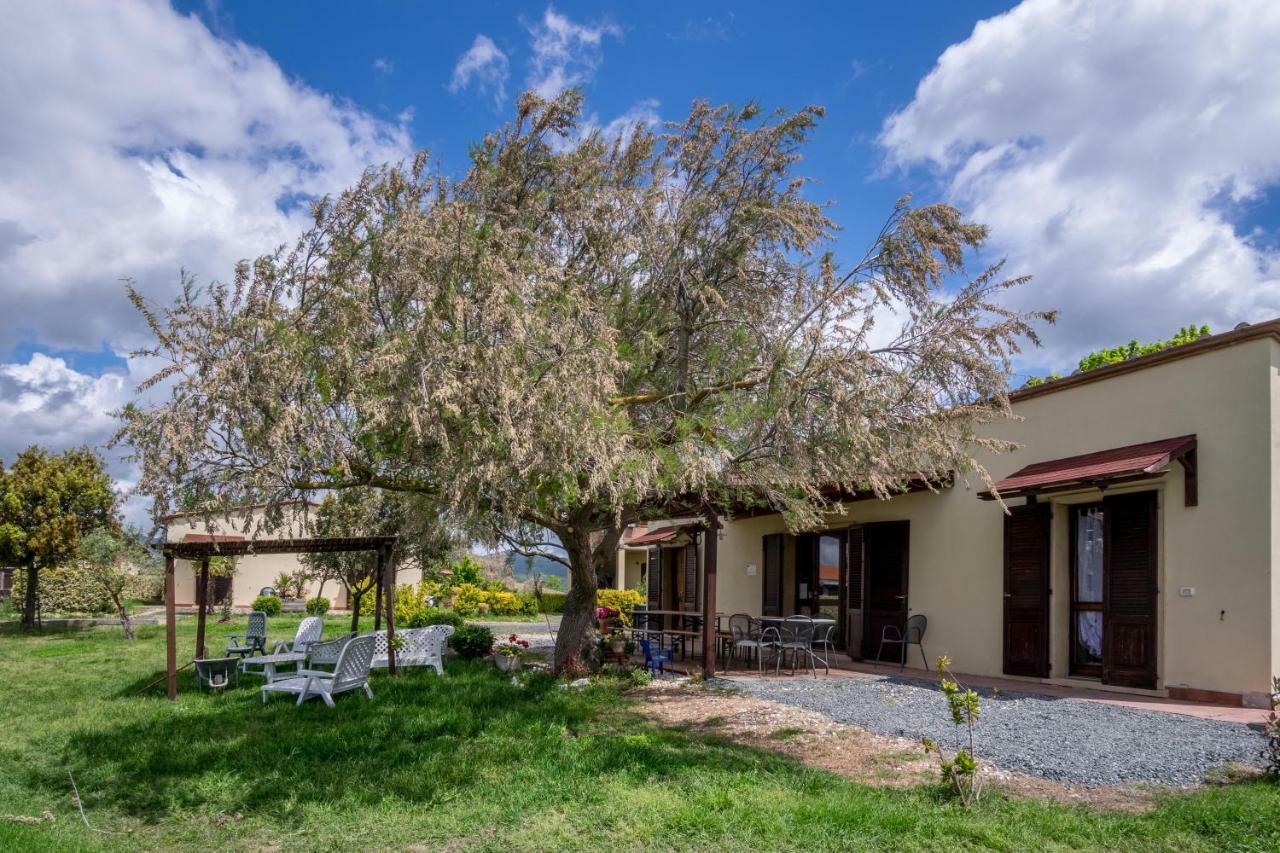 Agriturismo Il Canterino Guardistallo Zewnętrze zdjęcie